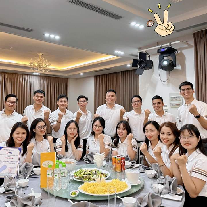lĩnh vực hoạt động