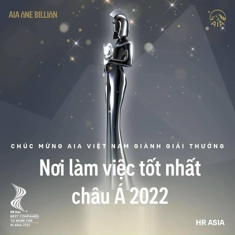 lĩnh vực hoạt động