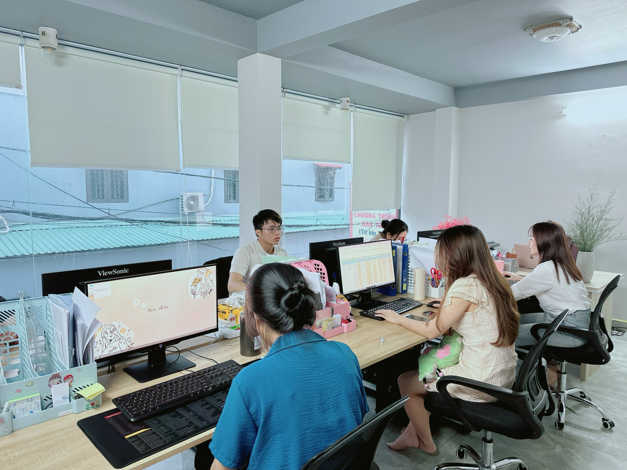 lĩnh vực hoạt động