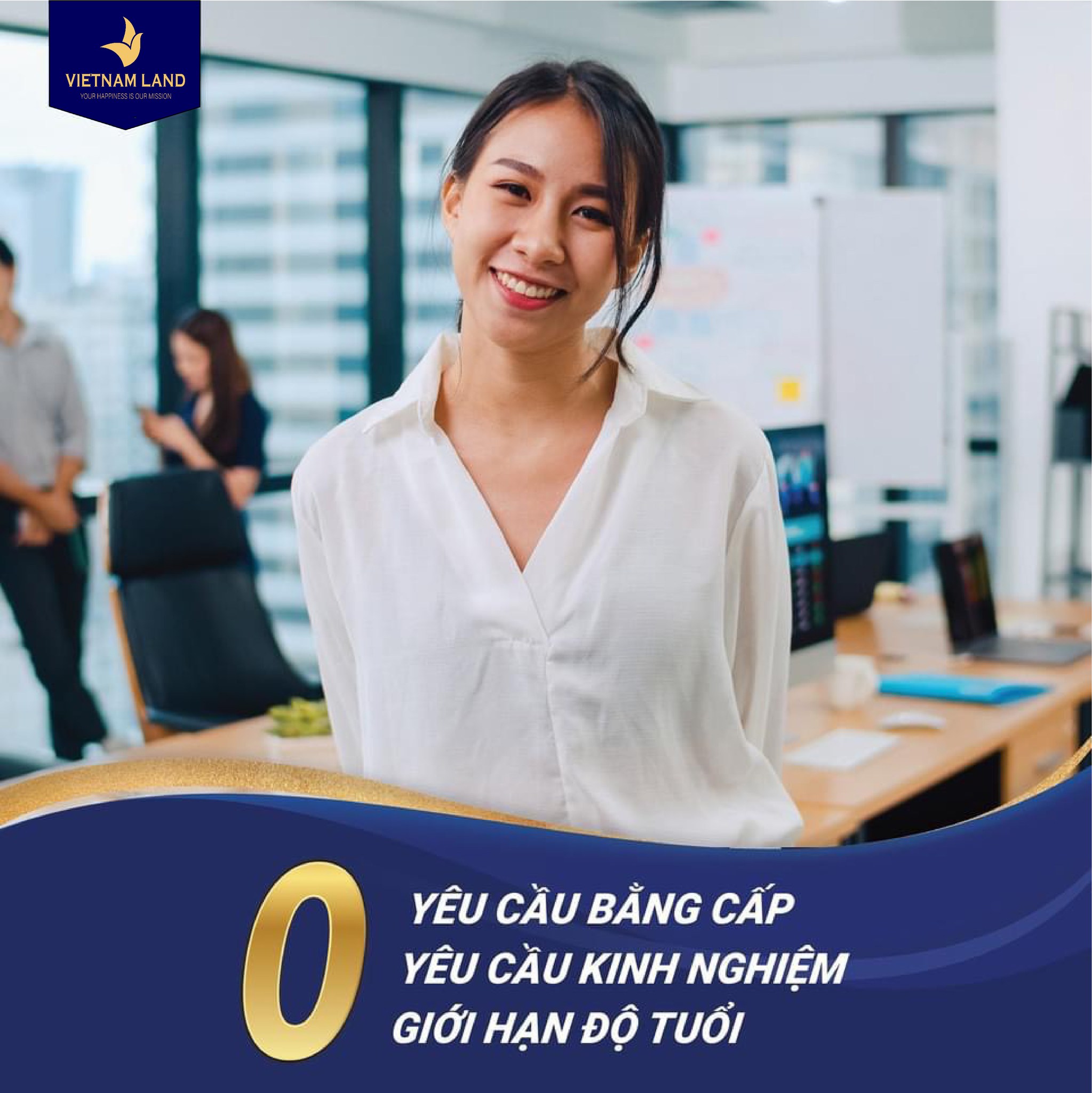 lĩnh vực hoạt động