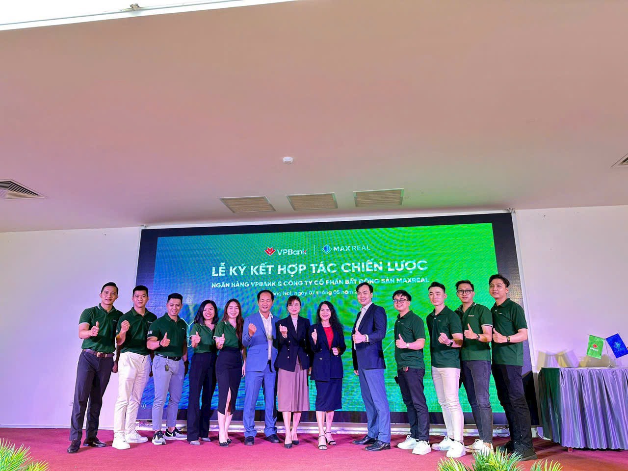 lĩnh vực hoạt động