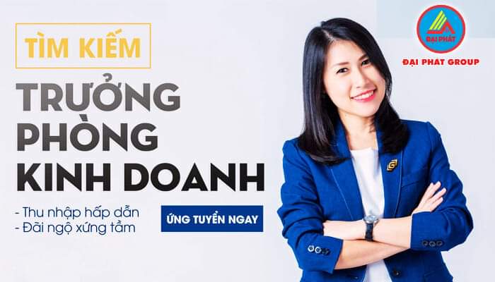 lĩnh vực hoạt động