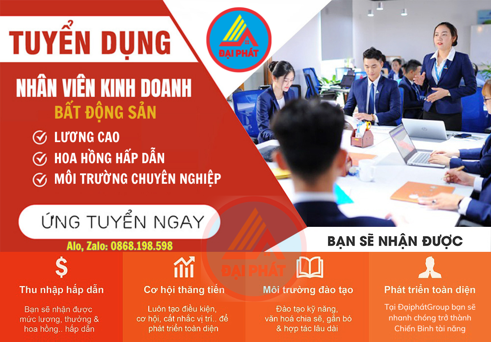 lĩnh vực hoạt động