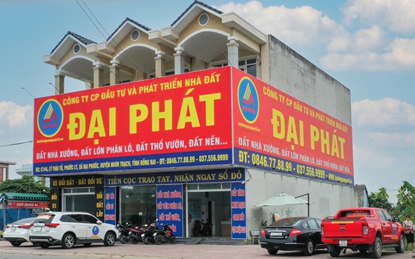 lĩnh vực hoạt động