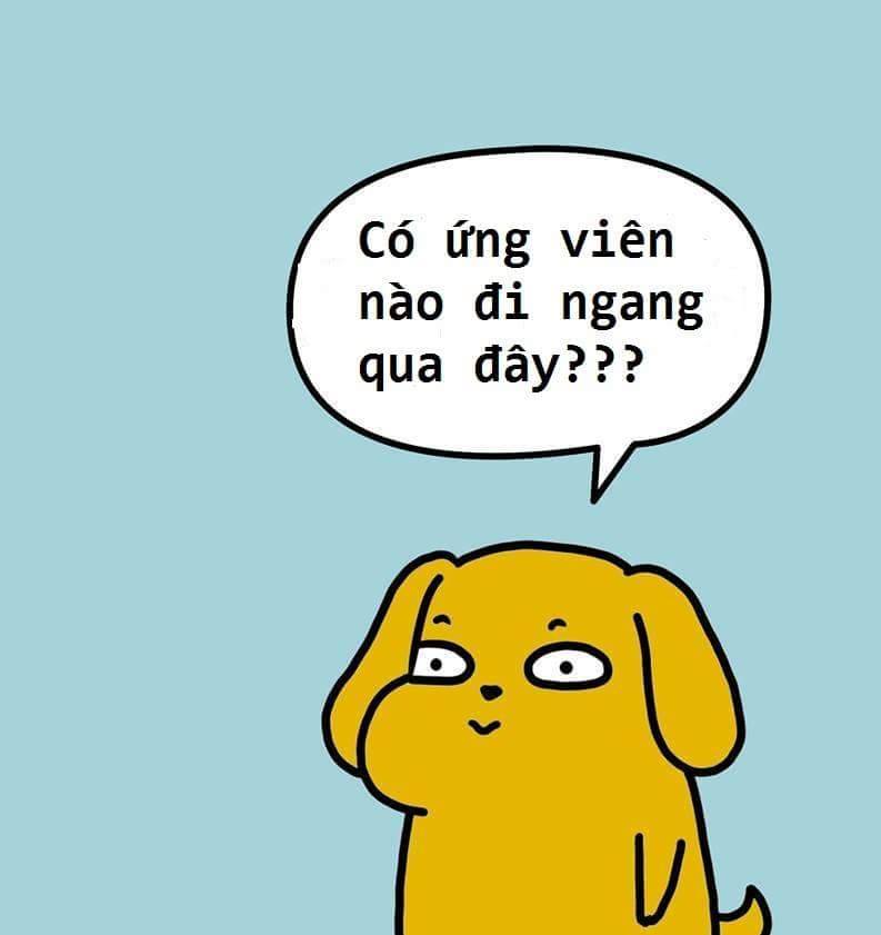lĩnh vực hoạt động