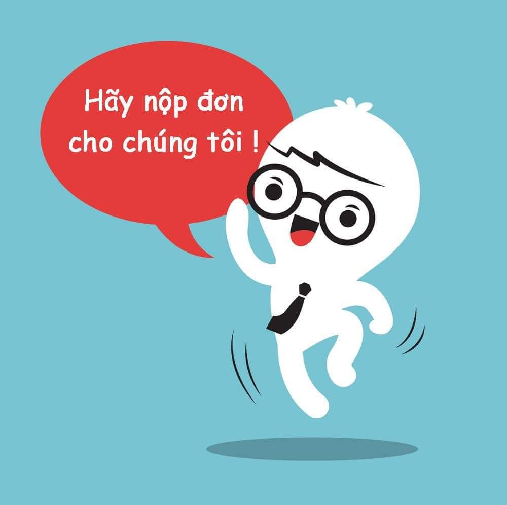lĩnh vực hoạt động