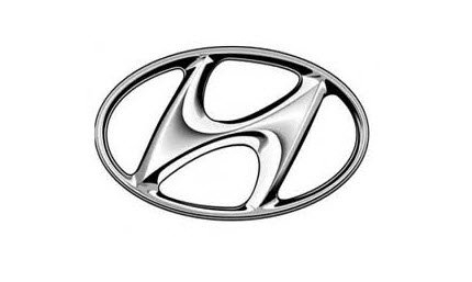 lĩnh vực hoạt động