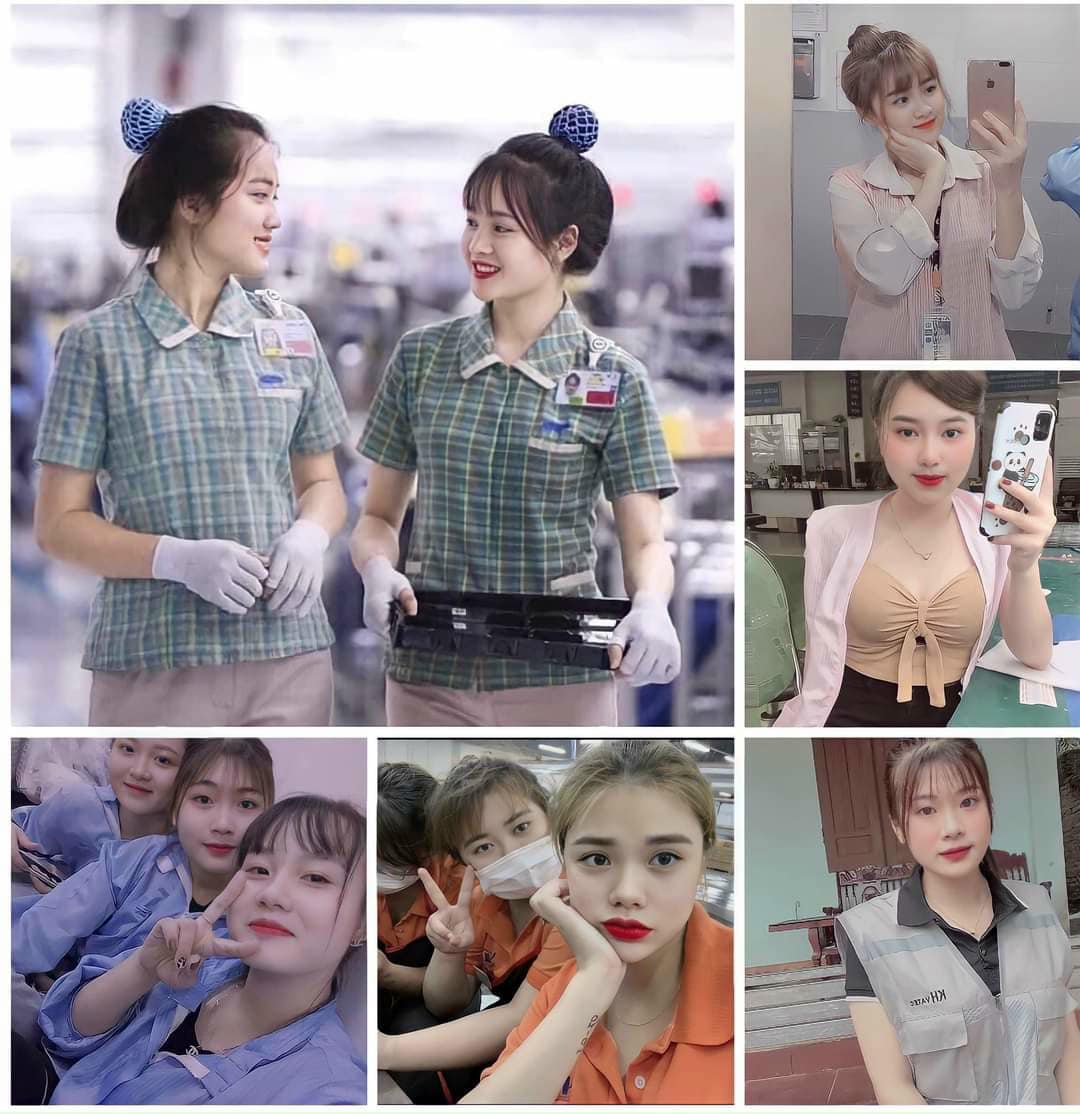 lĩnh vực hoạt động