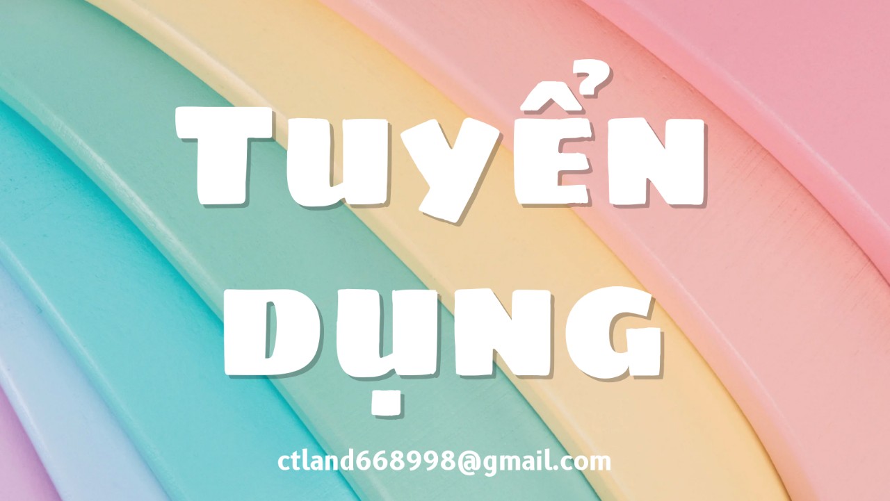 lĩnh vực hoạt động