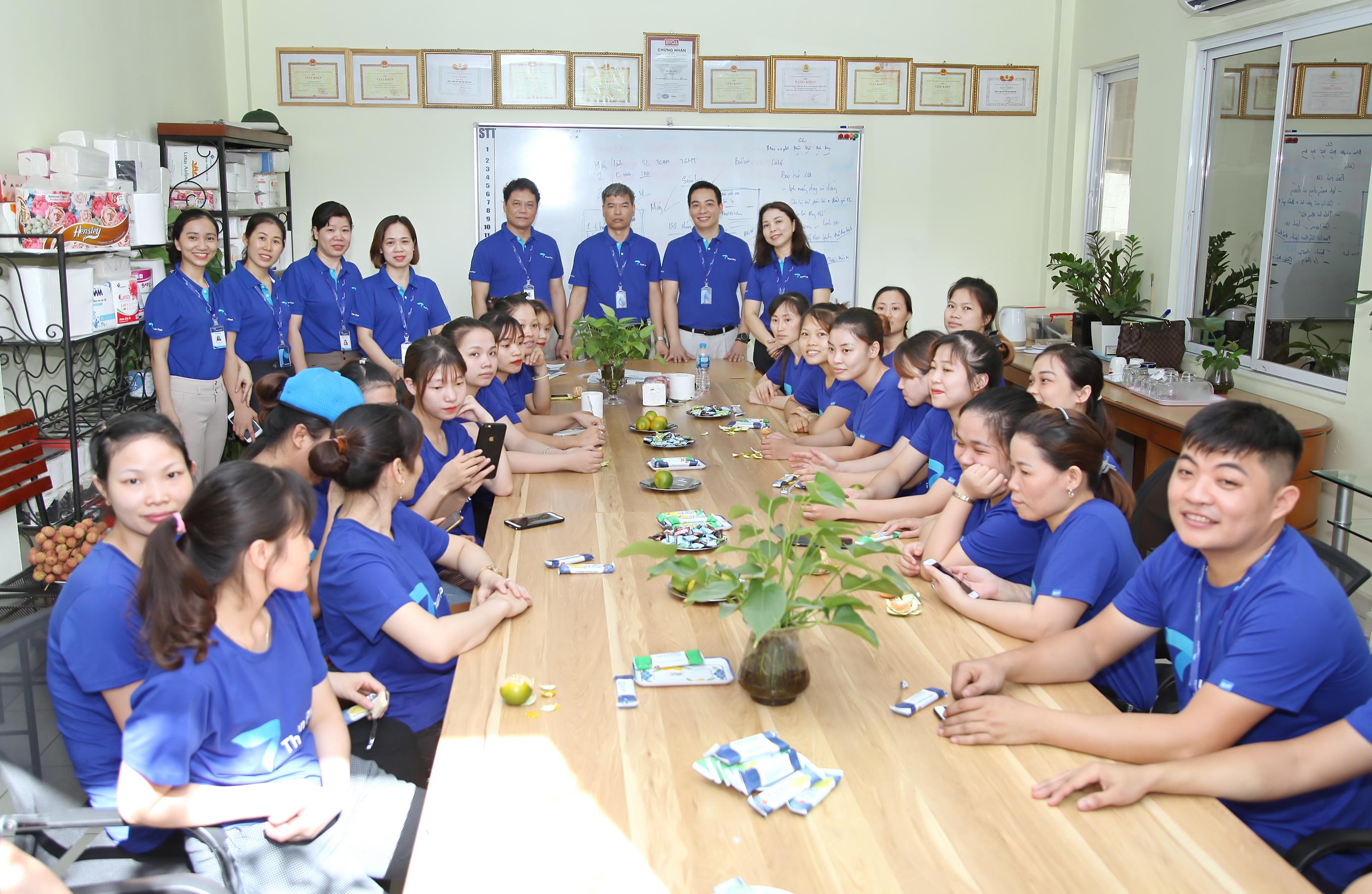 lĩnh vực hoạt động