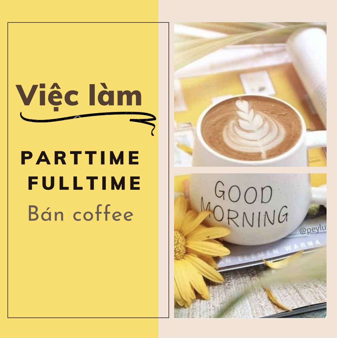 lĩnh vực hoạt động