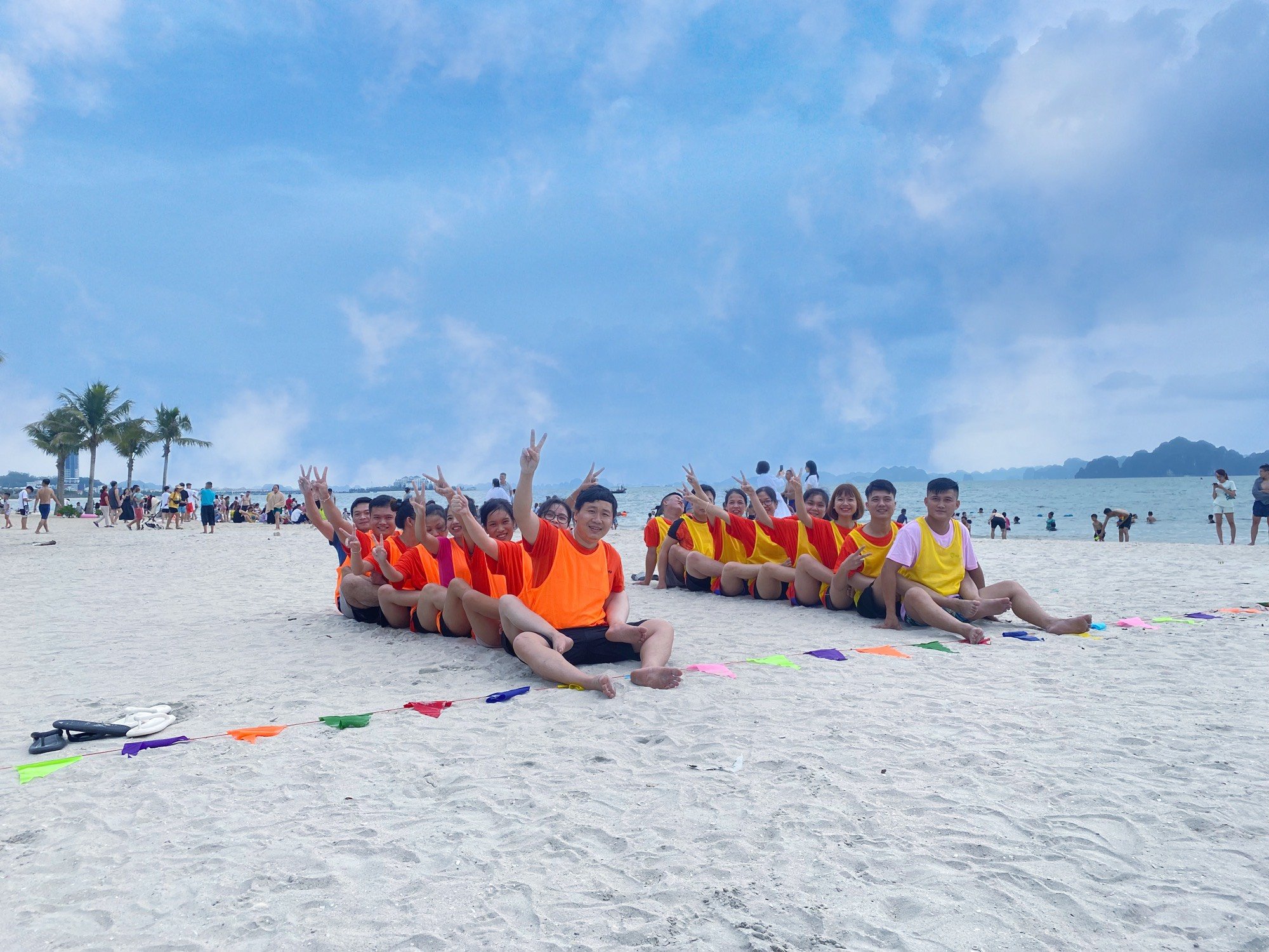 lĩnh vực hoạt động