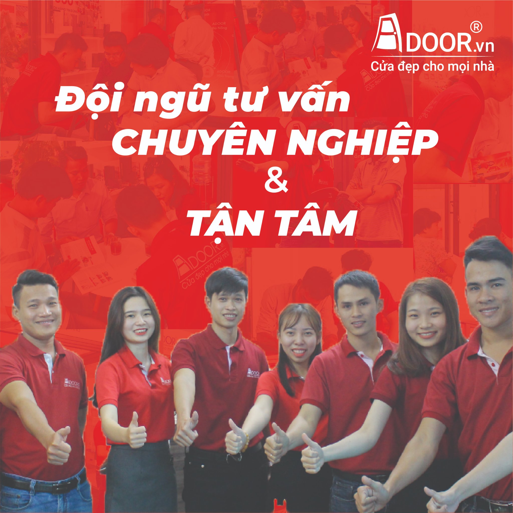 lĩnh vực hoạt động