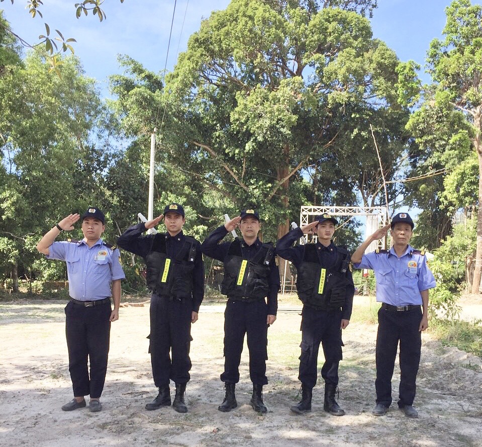 lĩnh vực hoạt động