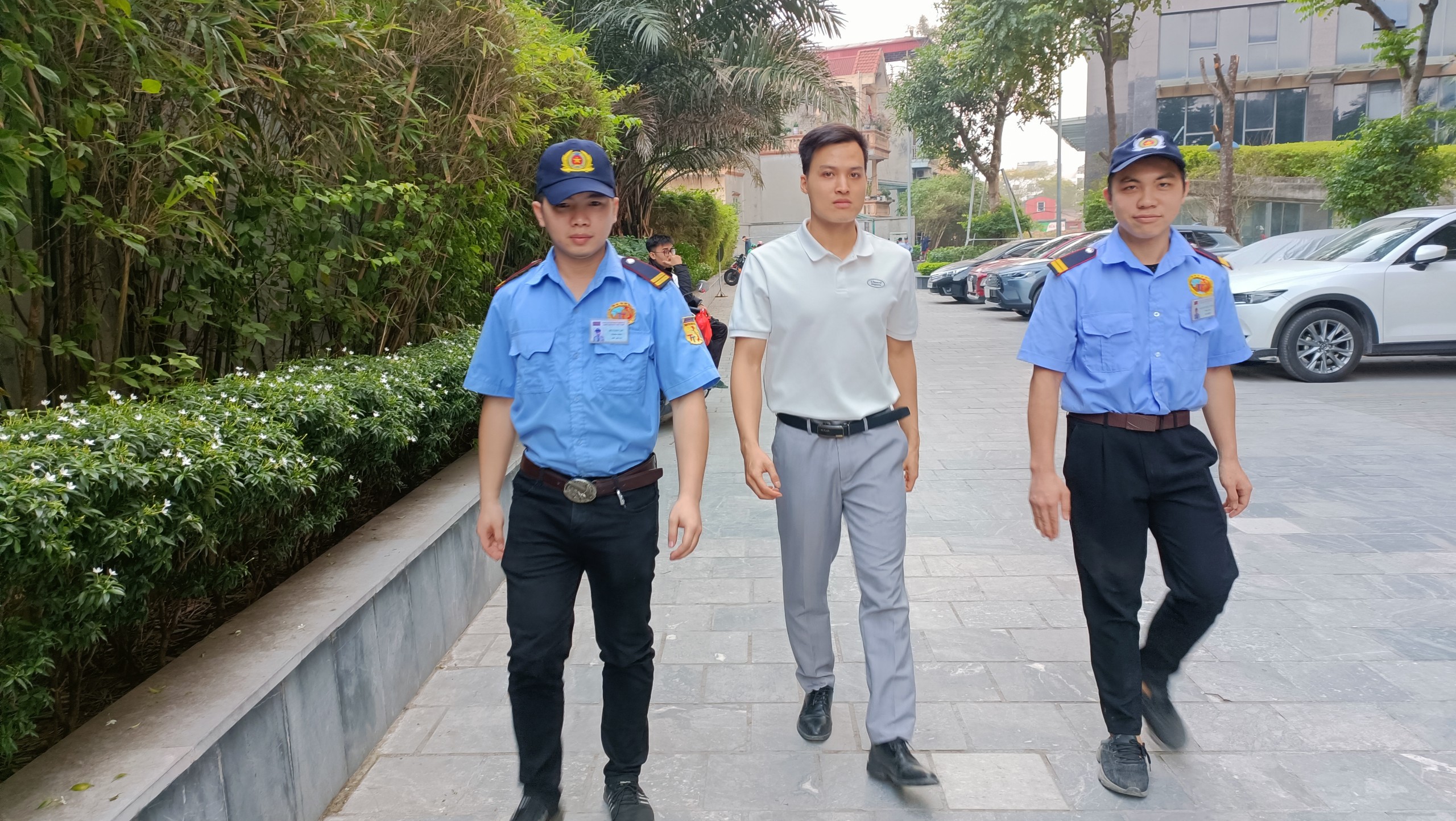 lĩnh vực hoạt động