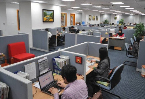 lĩnh vực hoạt động