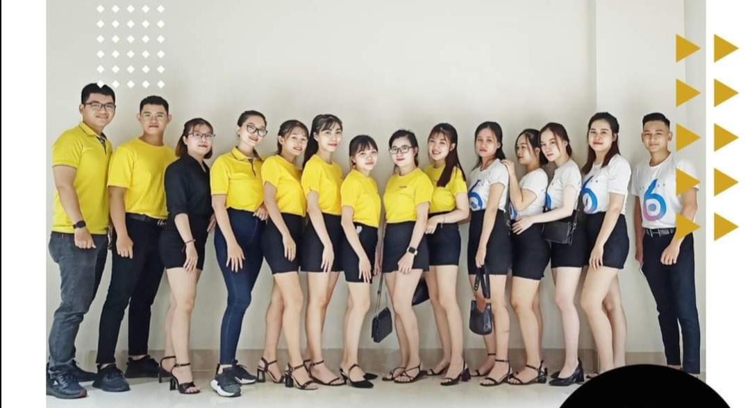 lĩnh vực hoạt động