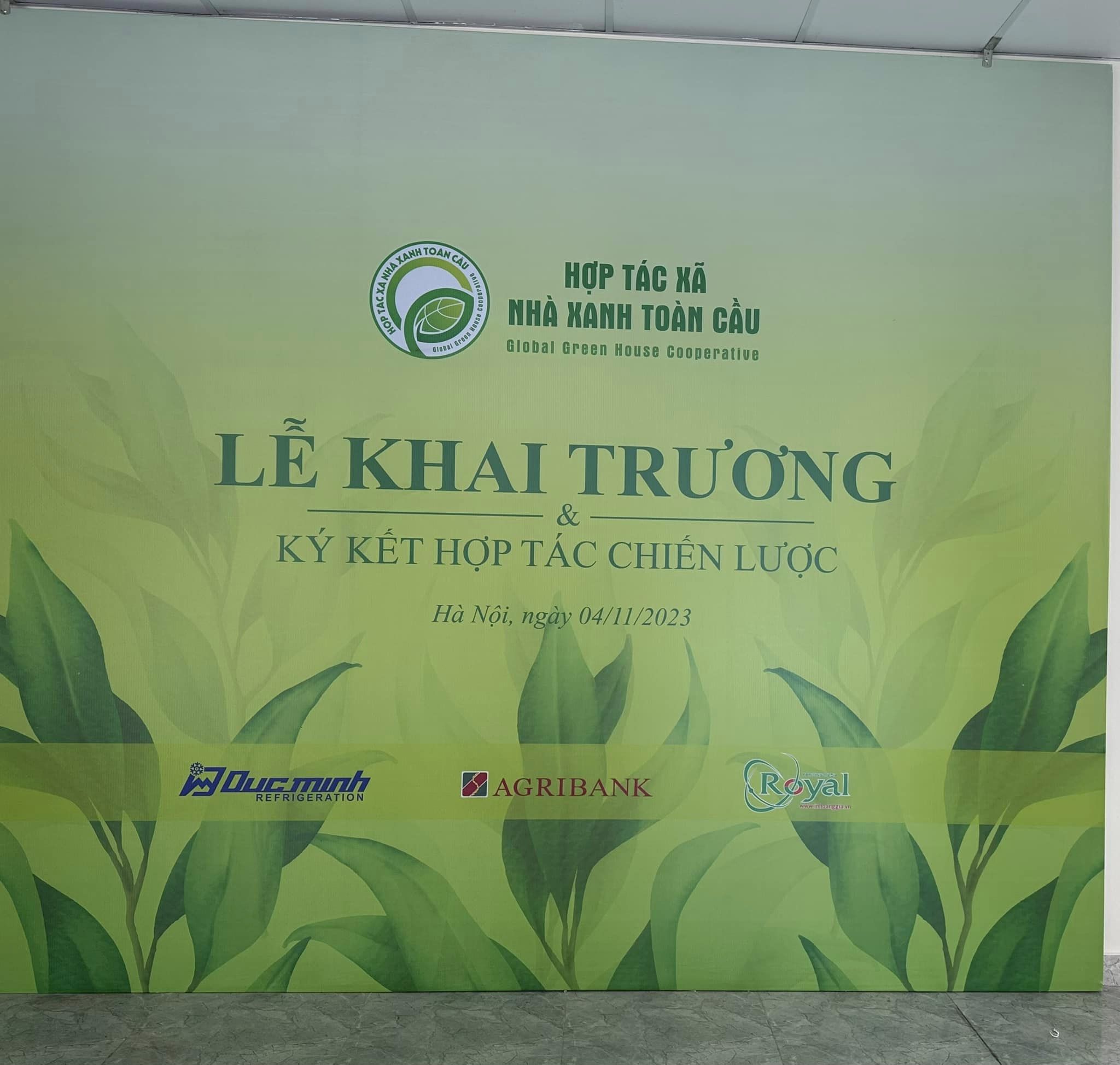 lĩnh vực hoạt động