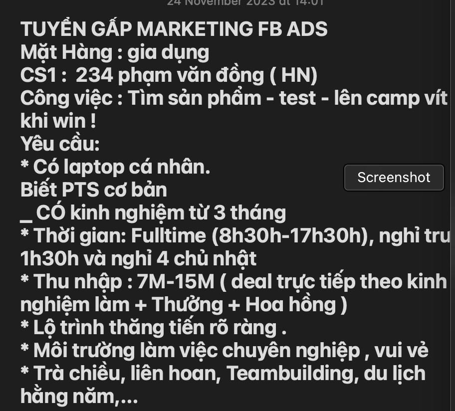 lĩnh vực hoạt động