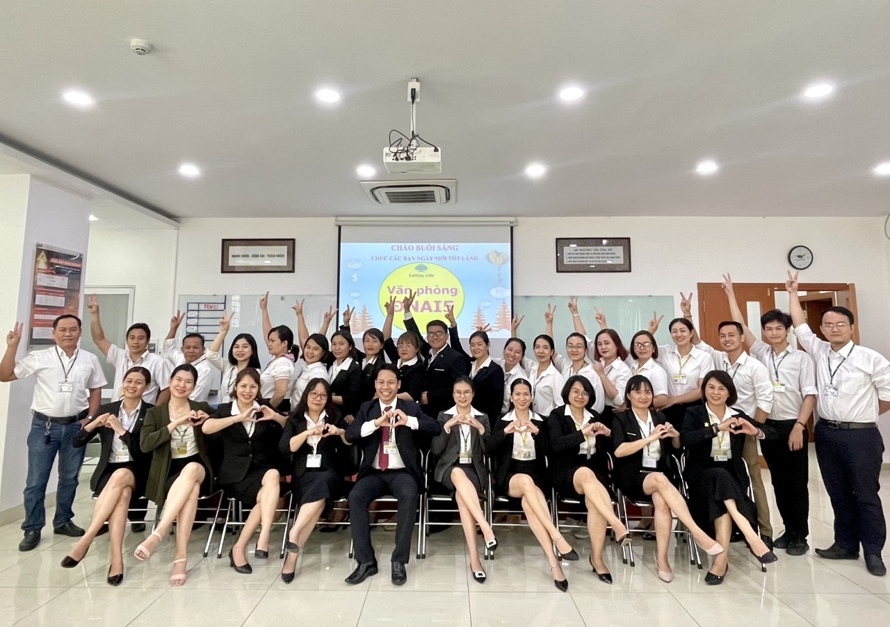 lĩnh vực hoạt động