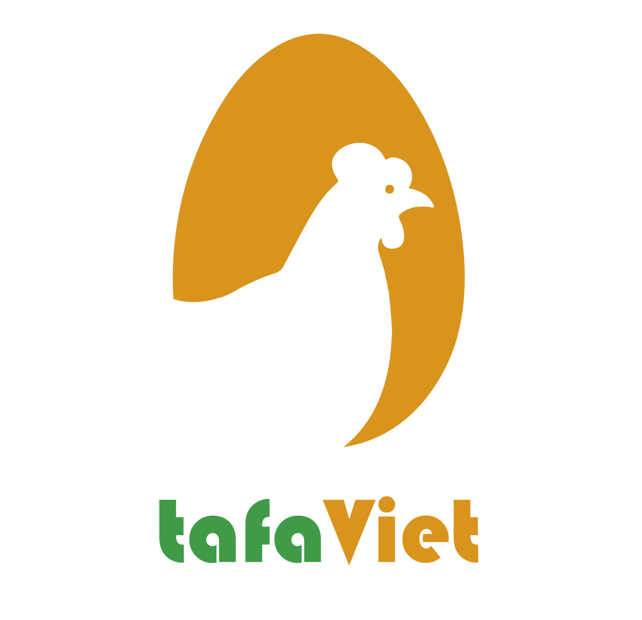 lĩnh vực hoạt động
