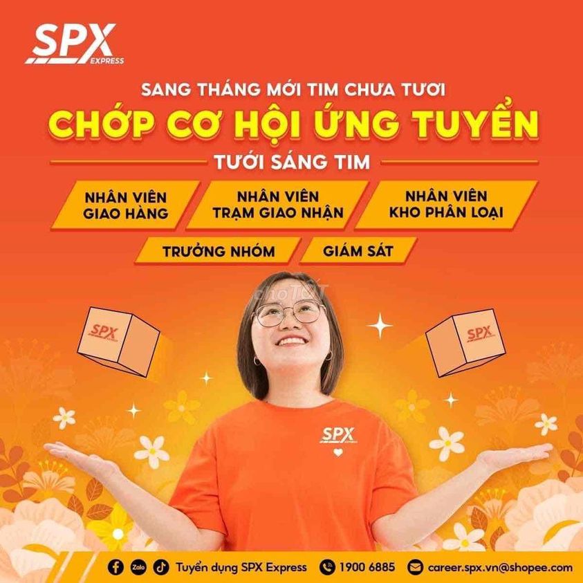 lĩnh vực hoạt động
