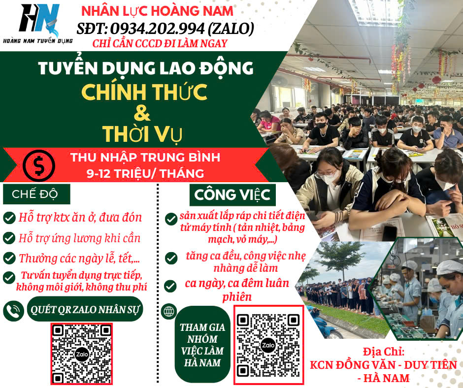 lĩnh vực hoạt động