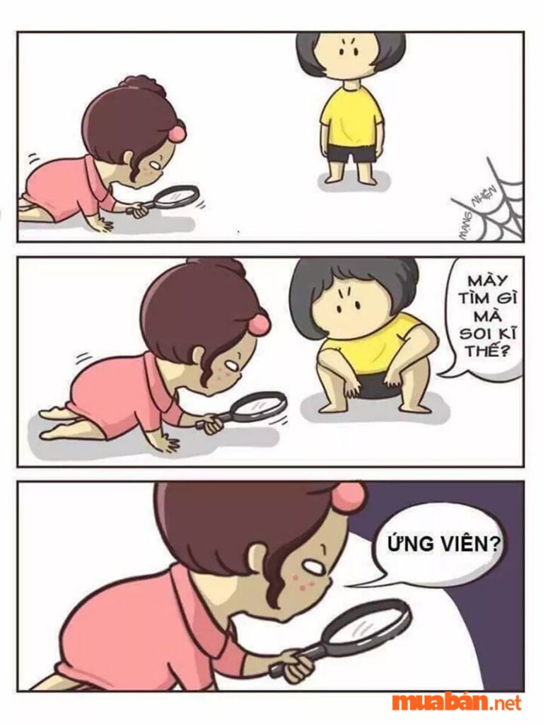 lĩnh vực hoạt động