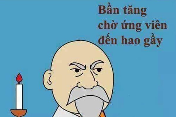 lĩnh vực hoạt động