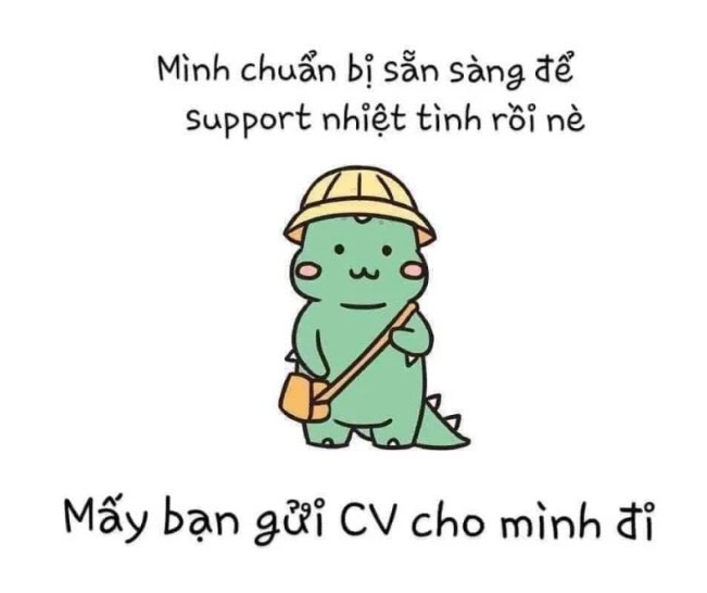 lĩnh vực hoạt động
