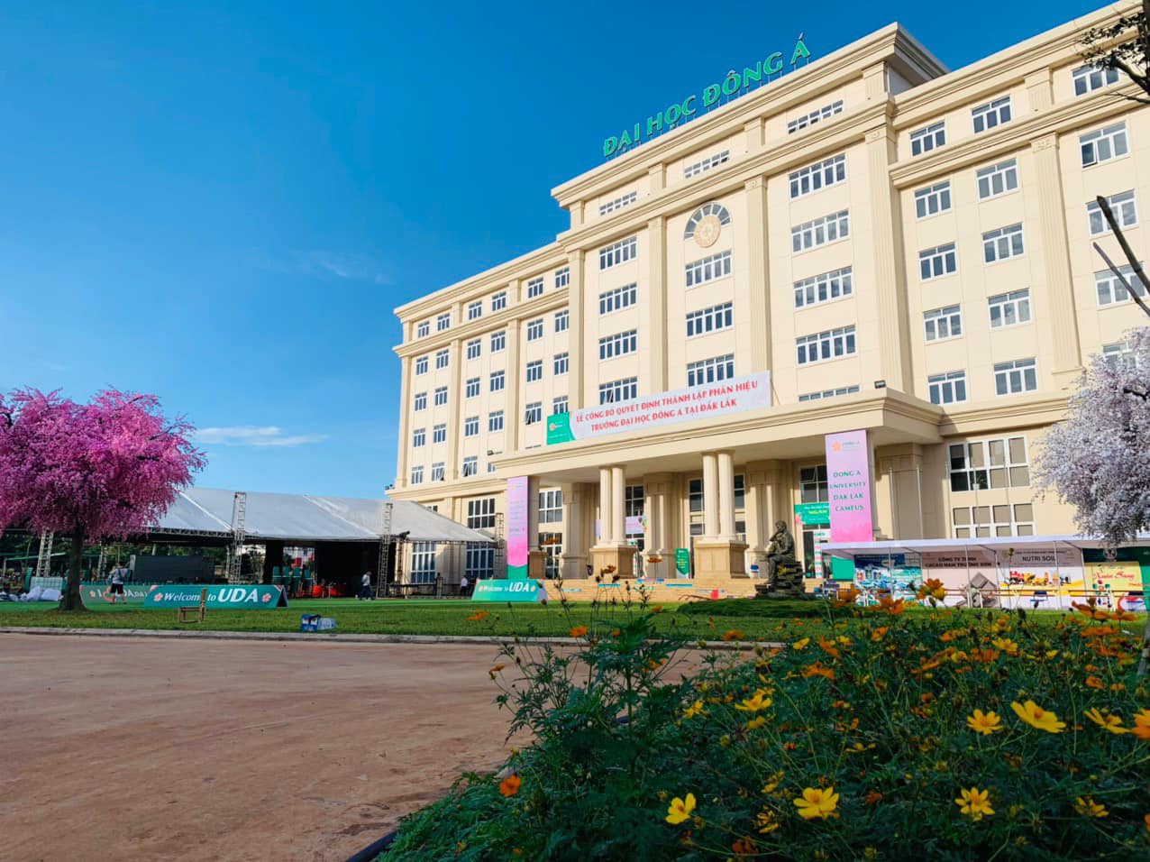 lĩnh vực hoạt động