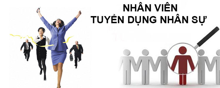 lĩnh vực hoạt động