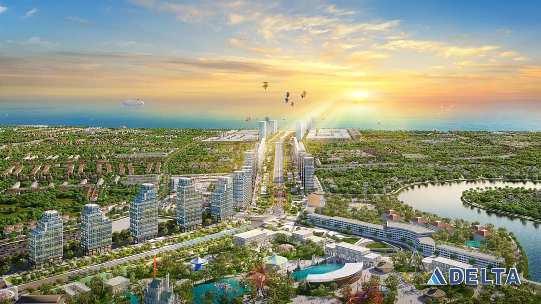 lĩnh vực hoạt động