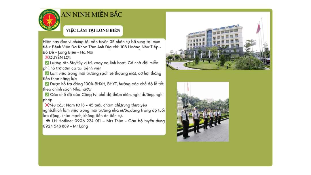 lĩnh vực hoạt động