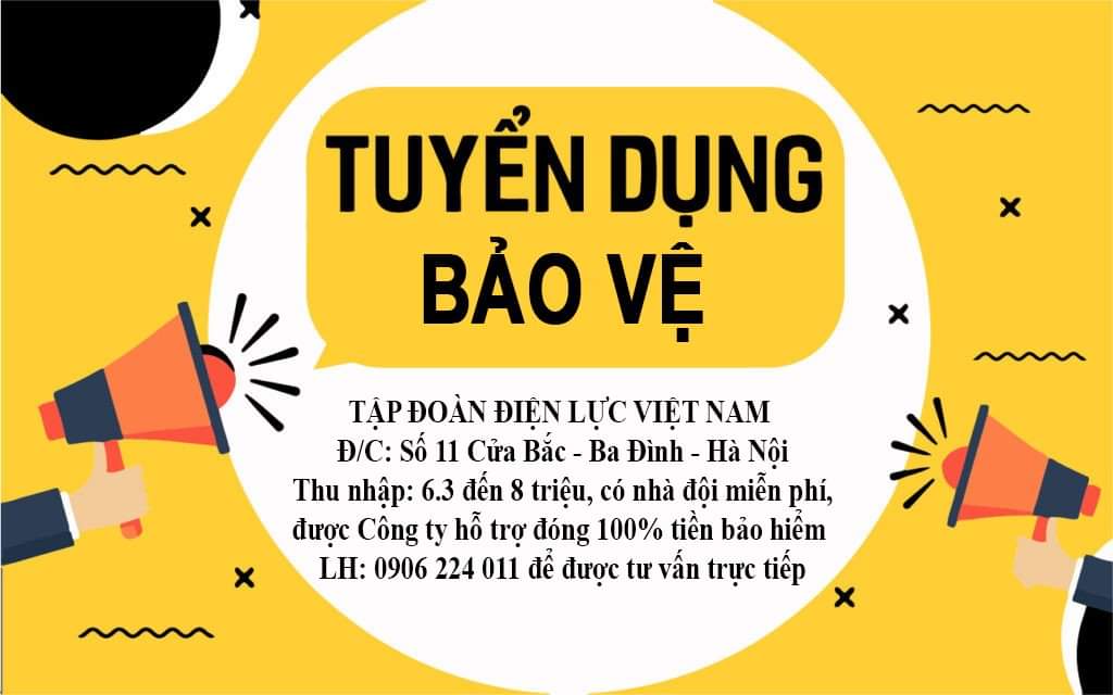 lĩnh vực hoạt động