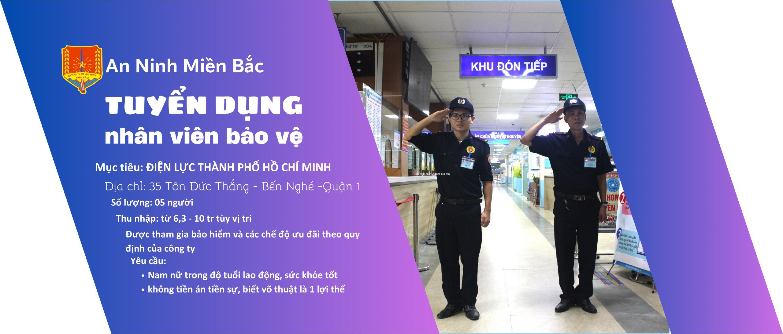 lĩnh vực hoạt động