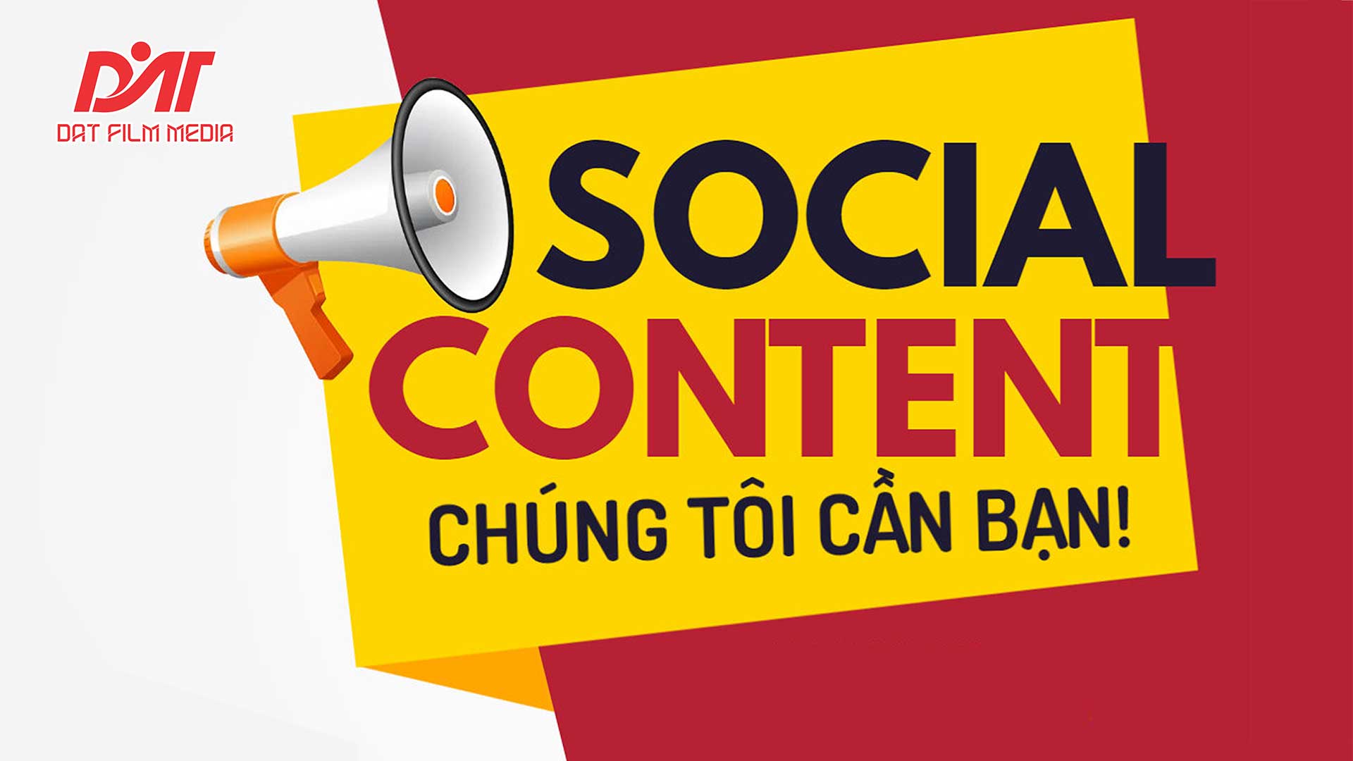 lĩnh vực hoạt động
