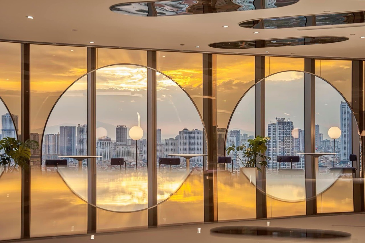 lĩnh vực hoạt động