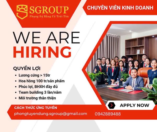 lĩnh vực hoạt động