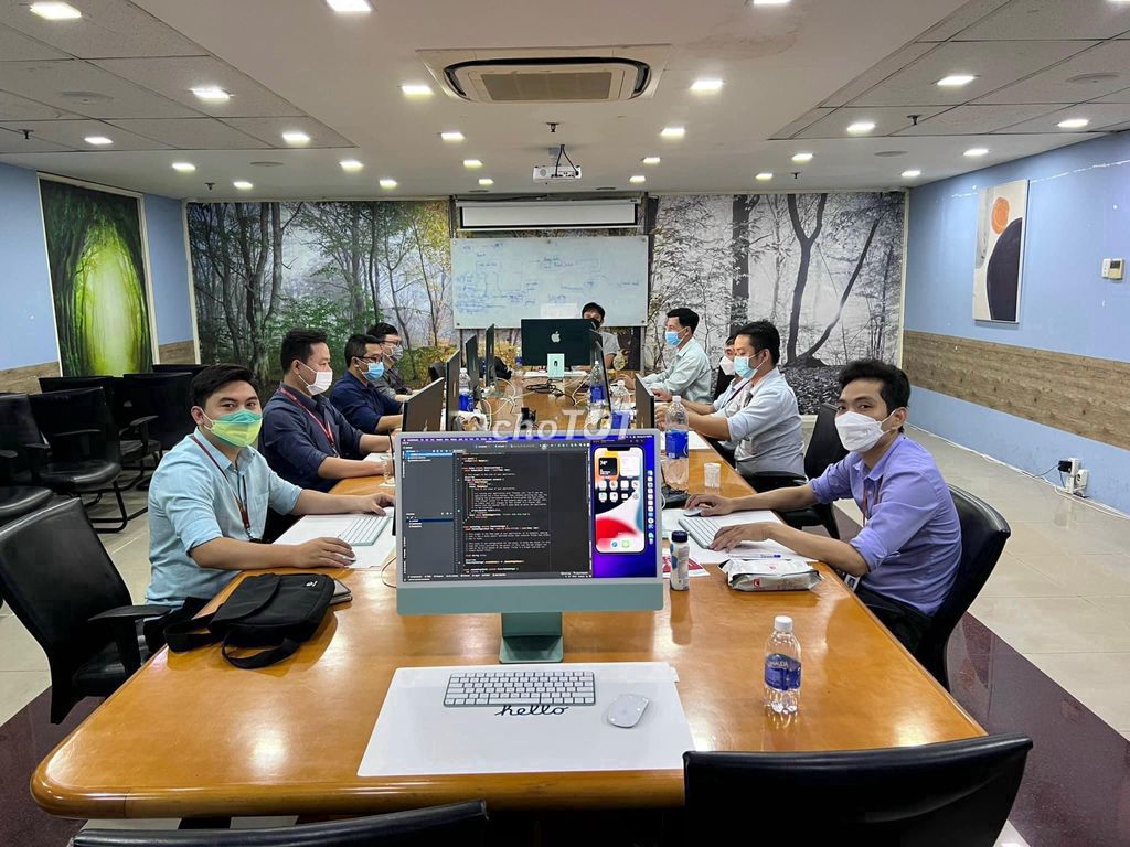 lĩnh vực hoạt động