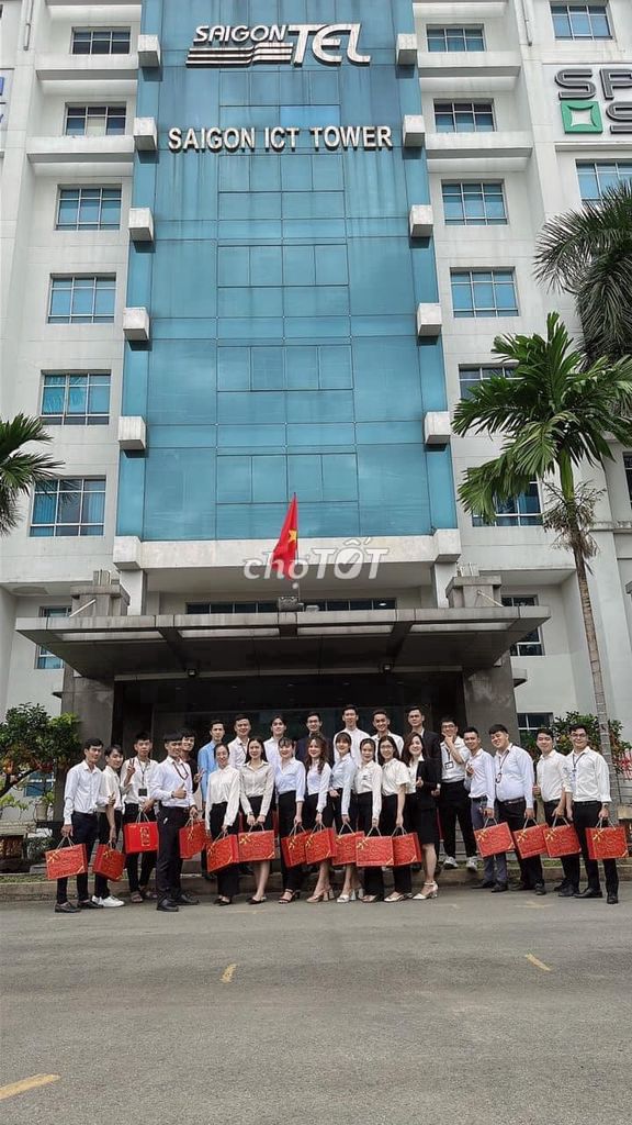 lĩnh vực hoạt động