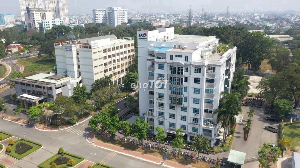 lĩnh vực hoạt động