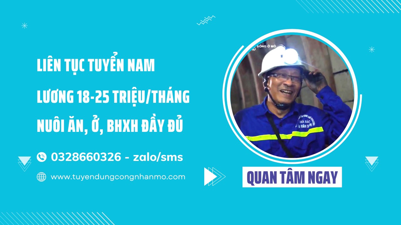 lĩnh vực hoạt động