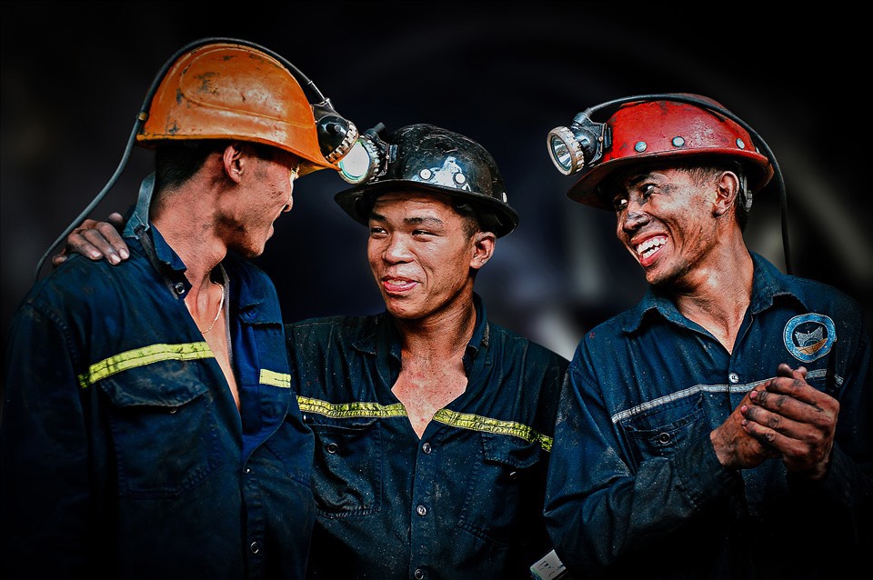 lĩnh vực hoạt động