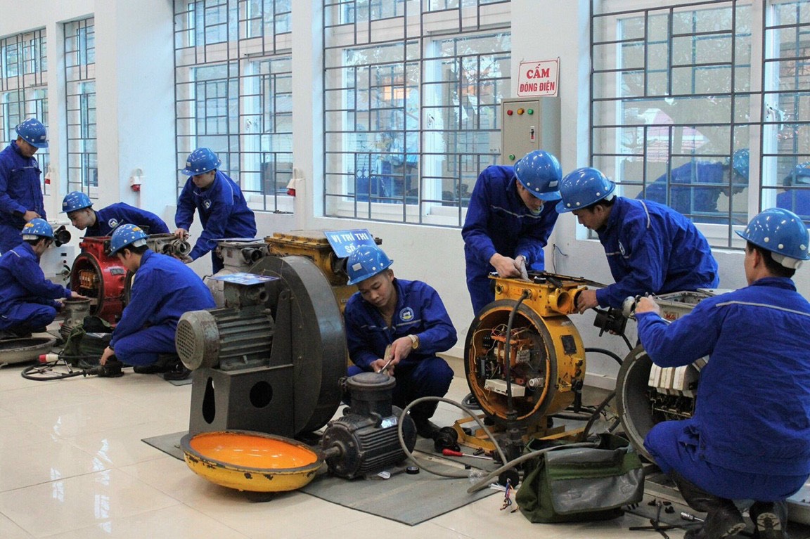 lĩnh vực hoạt động