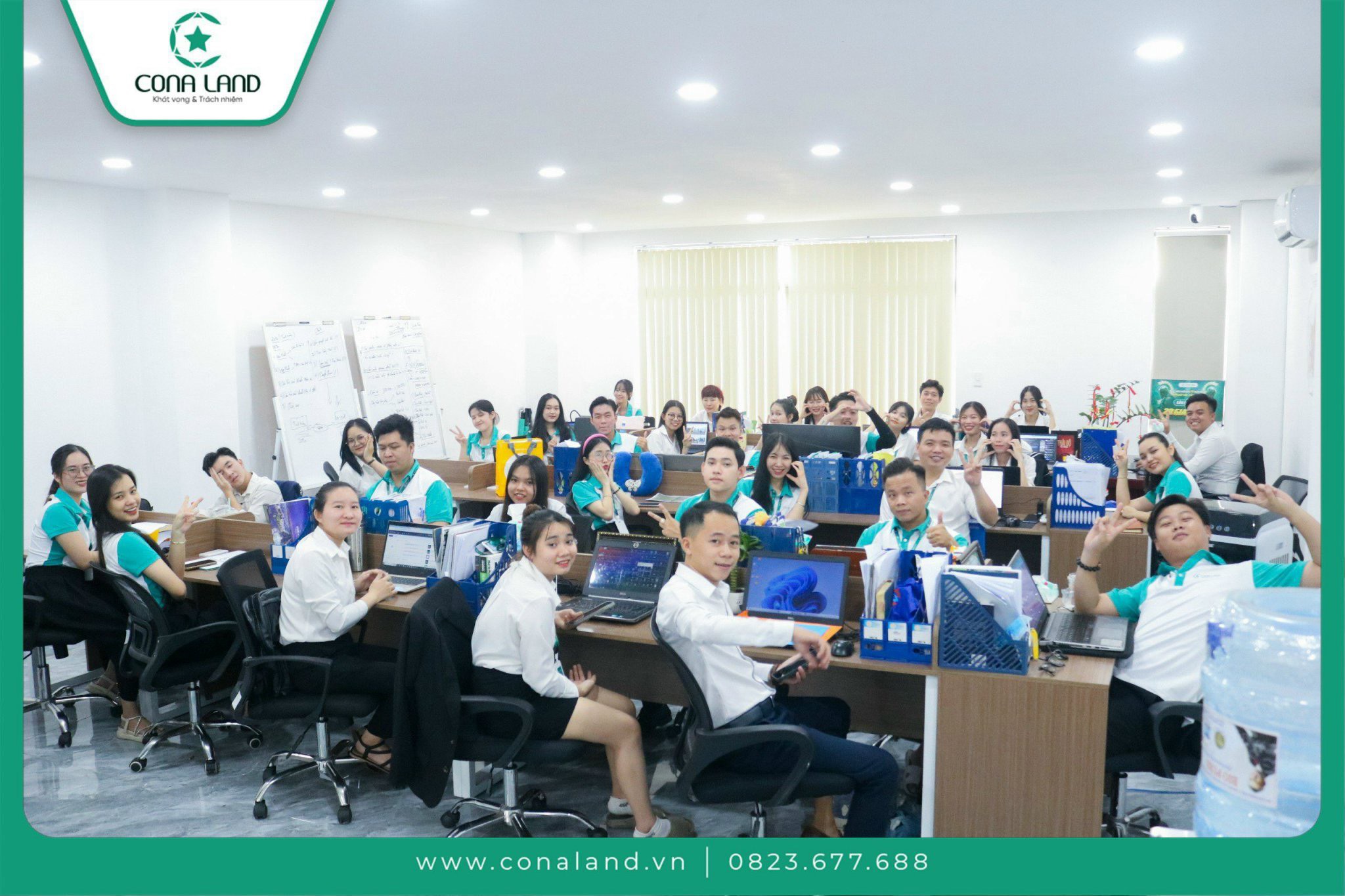 lĩnh vực hoạt động