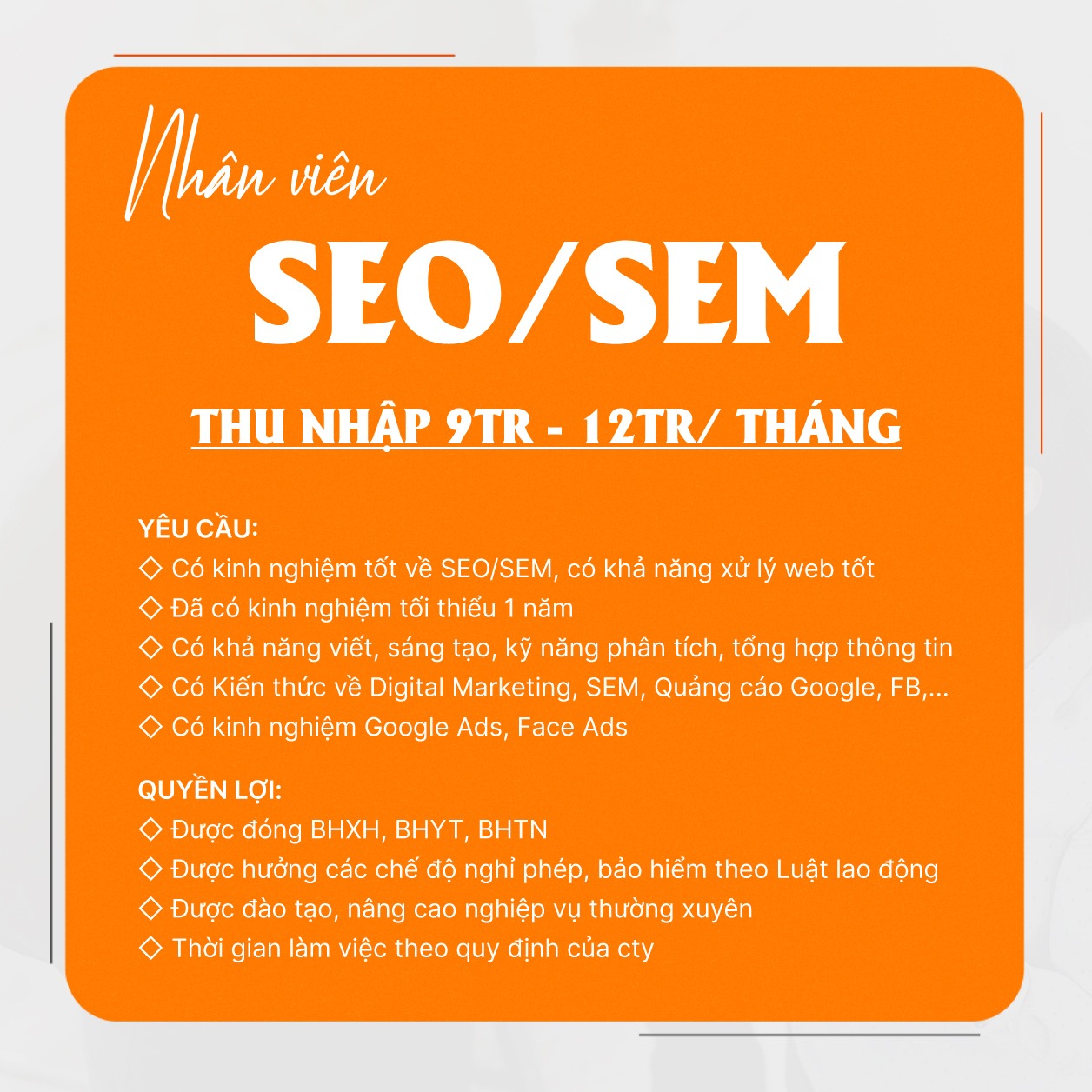 lĩnh vực hoạt động