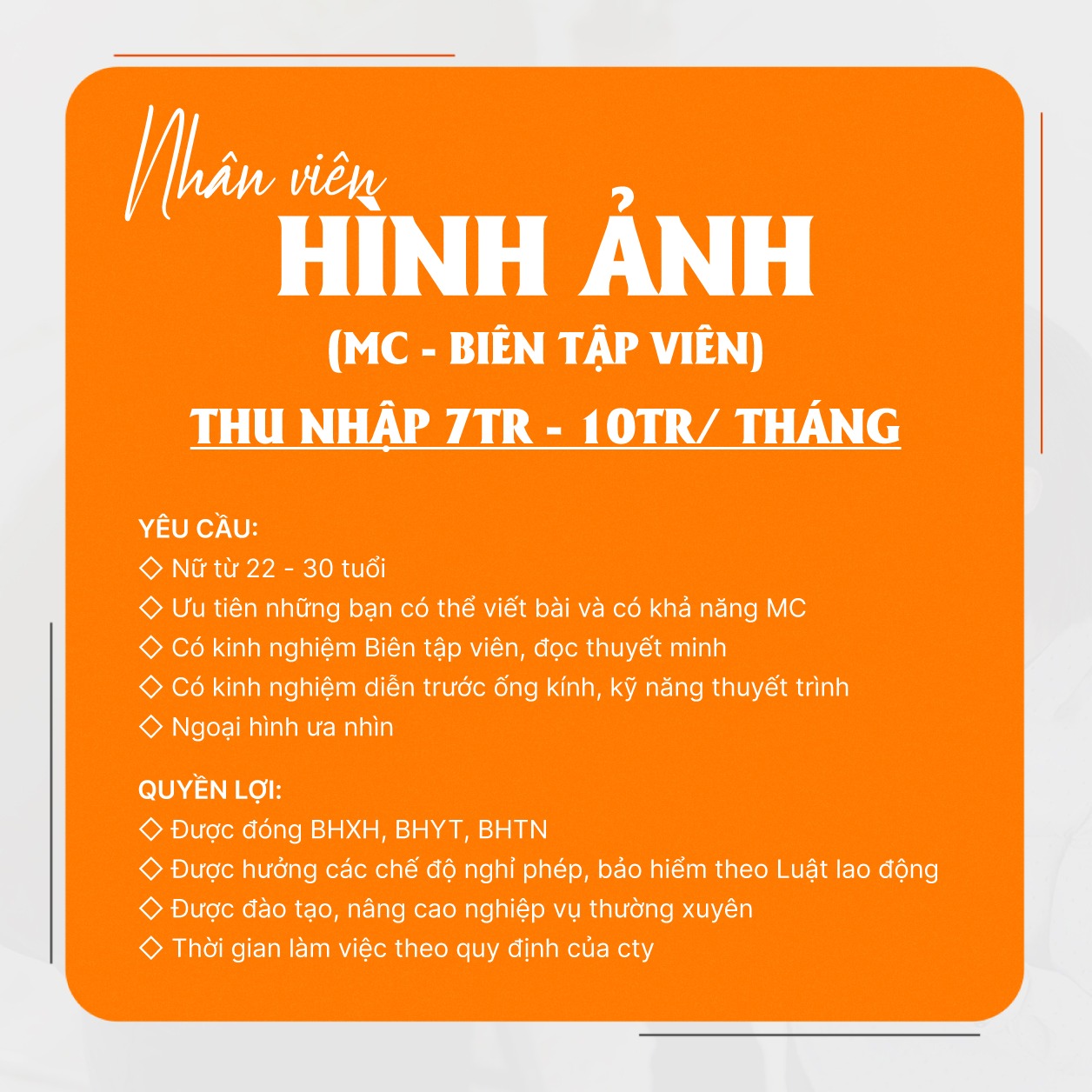 lĩnh vực hoạt động
