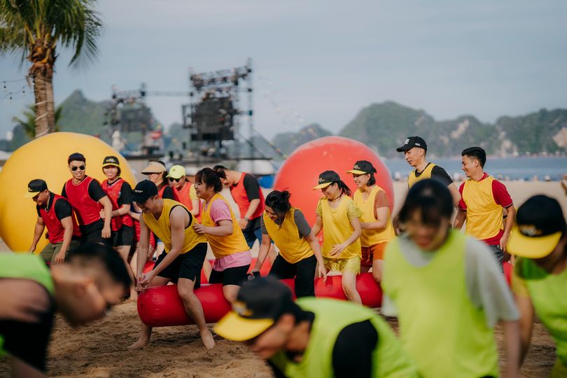 lĩnh vực hoạt động