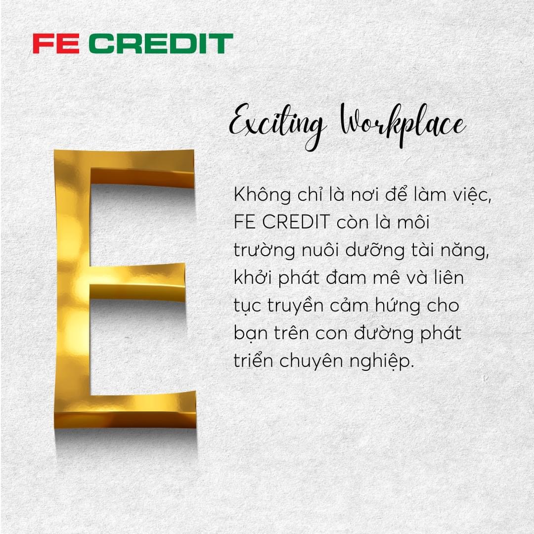 lĩnh vực hoạt động